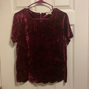 Boutique Velvet Shirt
